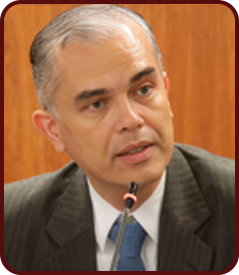 Homero Batista Mateus da Silva